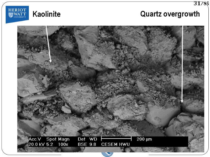 Kaolinite Quartz overgrowth 31/85